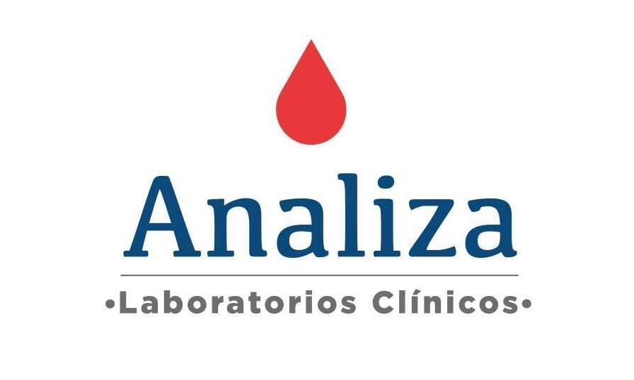 Analiza Logo